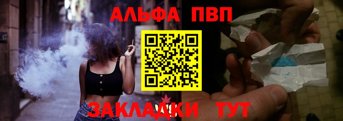 Альфа ПВП СК Нововоронеж