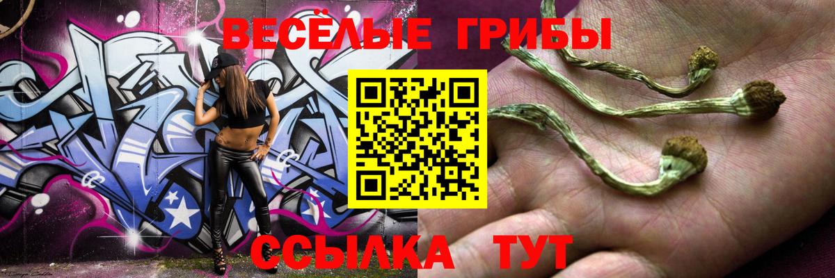 Псилоцибиновые грибы Psilocybine cubensis  Псилоцибиновые грибы мицелий  Вход с VPN  наркота  Нововоронеж 
