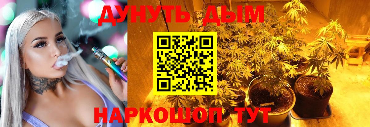 Конопля индика  Вход с VPN  Конопля VHQ  Нововоронеж  Бошки Шишки конопля 